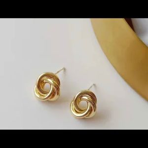 🔥 NWT! Twist hoop Earrings